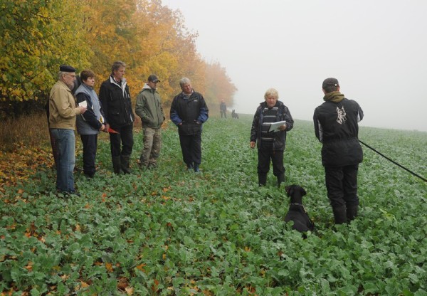 Zvod o pohr msta Sadsk 20.10.2012